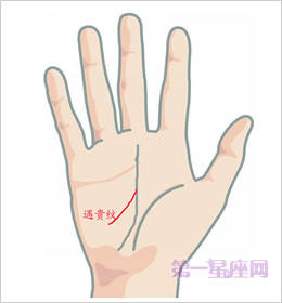 掌纹的秘密是完整的插图，教您如何用掌纹讲述命运