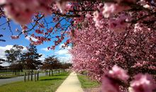 提升桃花运的八种开运法