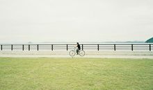 竹猫星球本周星座运势11.11—11.17