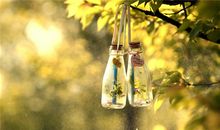 羲邑师姐2017年10月生肖羊运势