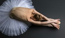 5月生肖鸡财运预测抢先报