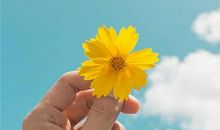 羲邑师姐:生肖牛一周运势（5.14-5.20）