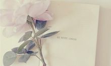 羲邑师姐2017年10月生肖猪运势