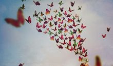 玛利亚2016年5月处女座运势