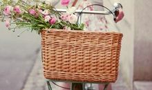 羲邑师姐2017年10月生肖马运势