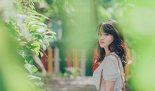 智商情商都在线，想不成功都难的四大生肖