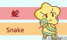 属蛇分别代表了哪个菜系