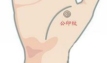 手相公印纹图解