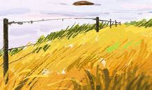 2013蛇年本命年逐月运势