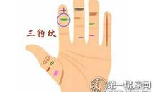 三豹纹手相图解，食指三豹纹代表什么