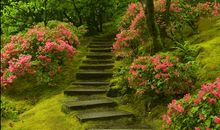 阿莎莉娅每周占星运势(4.21-4.28)