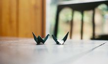 罗伯-本兹尼一周星座运势（8.24-8.30）