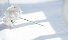 羲邑师姐:生肖龙一周运势（5.14-5.20）