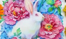 属兔2017年运势及运程 属兔人2017年每月运势