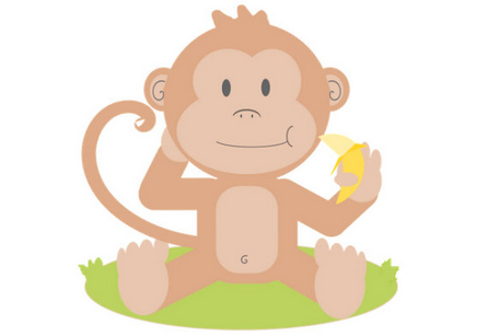 小猴子命名2016 1