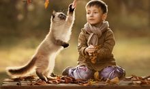 狗年出生宝宝霸气取名