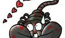 天蝎座本周运势11月11日—11月17日