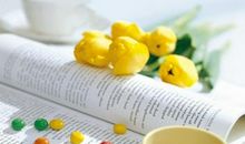 12生肖高考宜忌