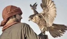 12生肖里谁最聪明