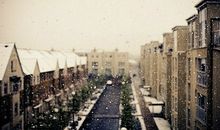 李居明2017鸡年生肖龙运势