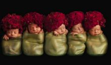 狗年男宝宝起名大全