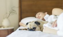 梦见自己不受人待见