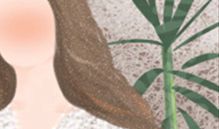天秤座要小心的金钱诱惑