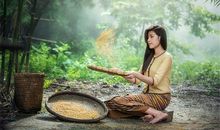 农历五月出生属马人命好吗