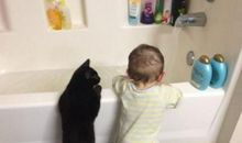 牛宝宝取名大全