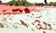 属鼠十二星座的性格