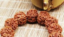 正月菩提和星月菩提的区别