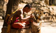 梦见老虎咬人是好梦吗