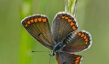 大师揭秘2017年属兔人旺运财位