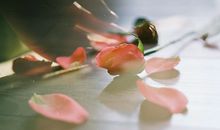 元宵节过后，运势最旺的星座