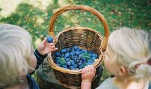 马宝宝起名宜用字