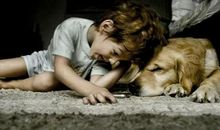 狗宝宝起名宜用字