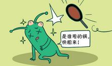 天秤座厚脸皮的小趣事
