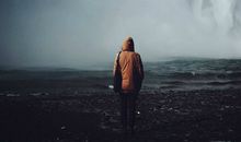 海百合十二星座一周运势(1.1-1.7)