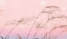 趣味相投的星座组合