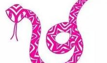 2017年属蛇人3月运程解析