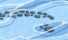 塞翁失马焉知非福！犯太岁却仍有机会发财的生肖