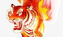 2017年属虎人3月运程解析