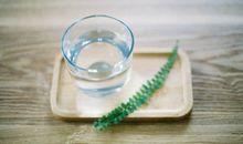 李居明2017鸡年生肖兔运势