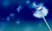 择友时你爱与何人为伍