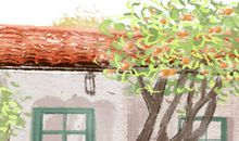 拾杯水2016年天秤座爱情运势