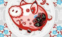 生肖猪最性感的一面