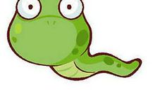 属蛇男女的最佳伴侣