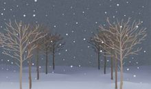 老人卧室摆放平安树好不好