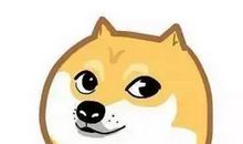 生肖狗的投资理财忠告