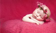 属狗宝宝什么时候出生最好